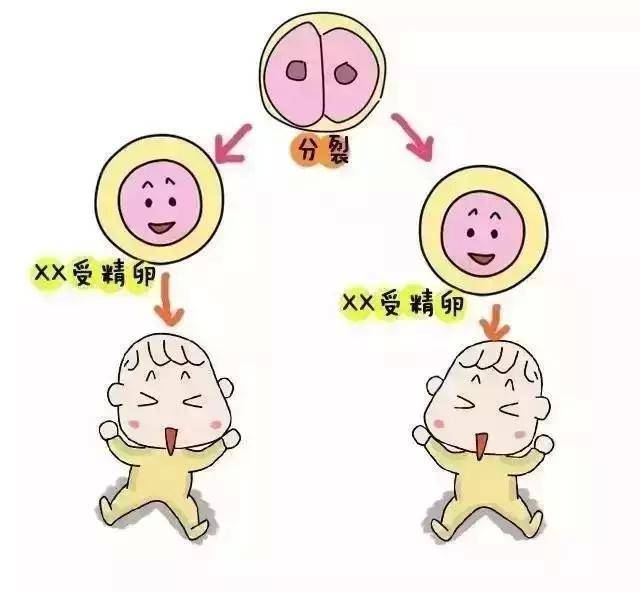 预产期电影恐怖片