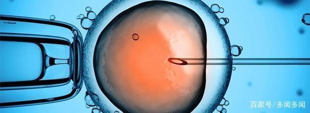 预产期倒推受孕日计算器