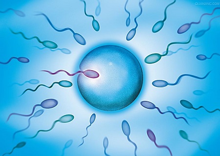 预产期在线计算