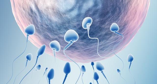 预产期计算公式日期