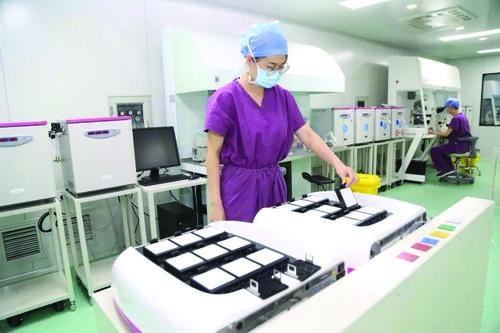 预产期算法模板