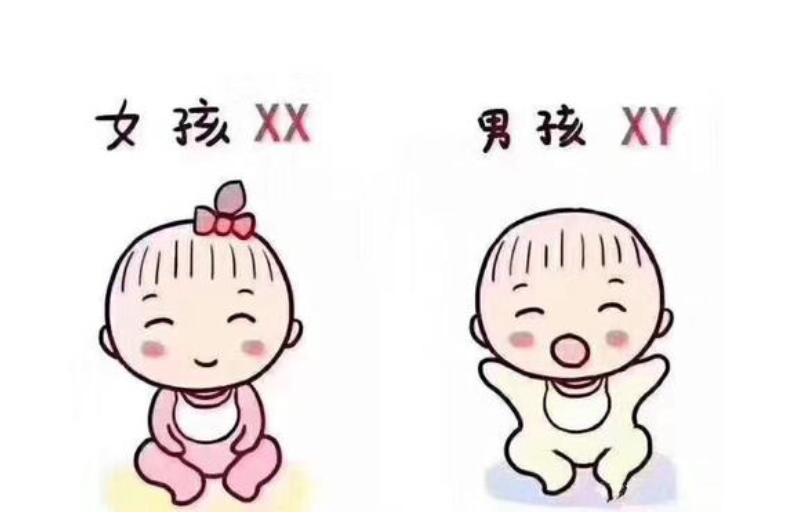 新手妈妈