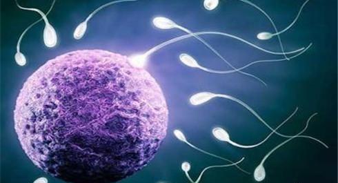 实拍顺产分娩过程