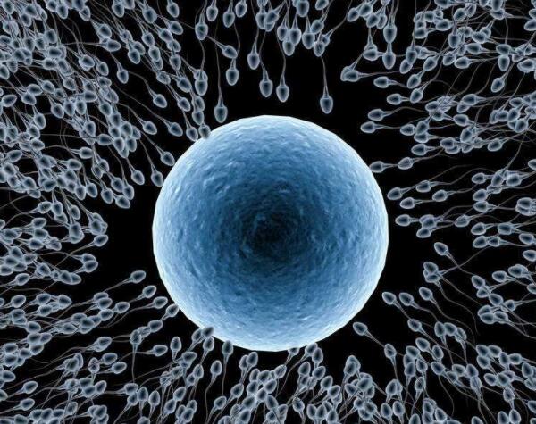 分娩顺产实拍长时间