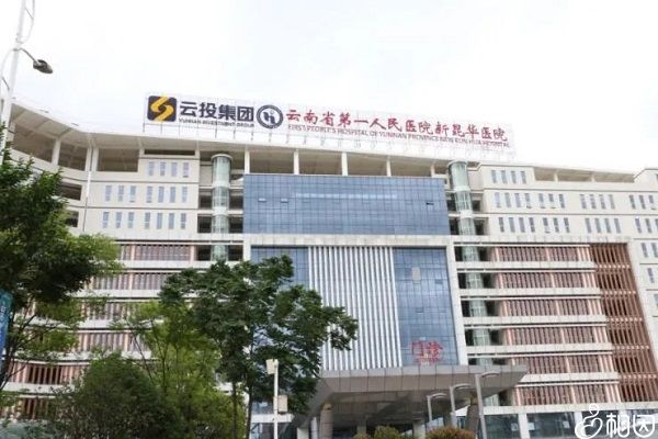 南京试管婴儿成功率