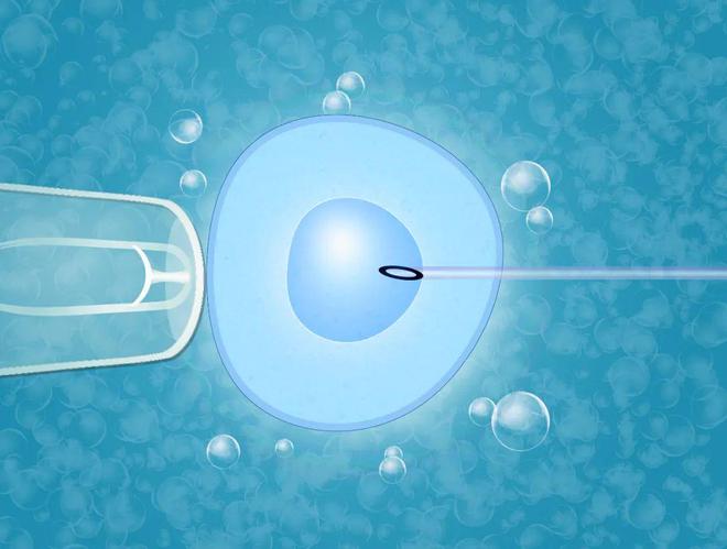 南宁试管婴儿最好的医院
