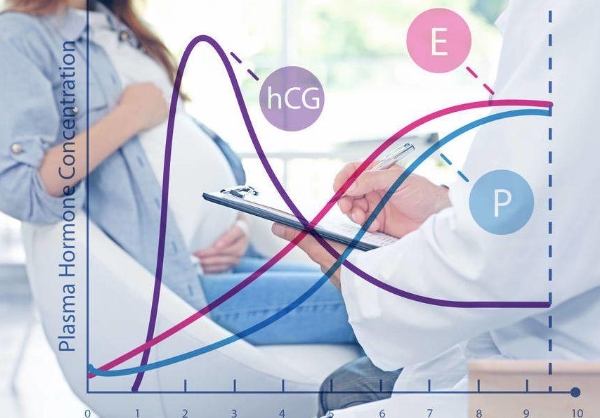 南京试管婴儿费用