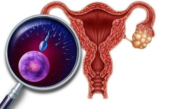 南京试管婴儿费用明细